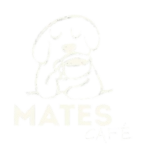 capture d écran 2026 03 26 123934 removebg preview