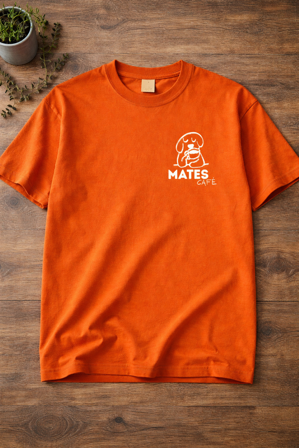 Nos espaces chatgpt image 26 mars 2026 à 11 14 21